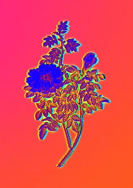 Neon Florals Illustration