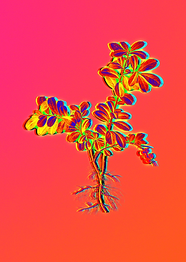 Neon Floral Illustration