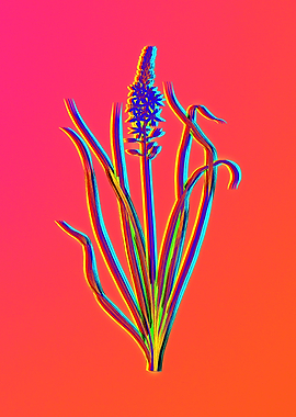 Neon Flowers Illustration
