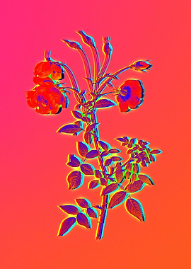 Neon Flowers Illustration