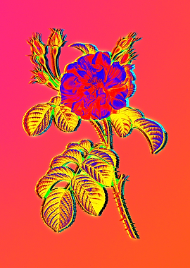 Neon Floral Illustration