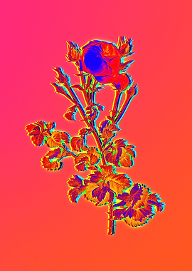 Pink Neon Flower Drawing