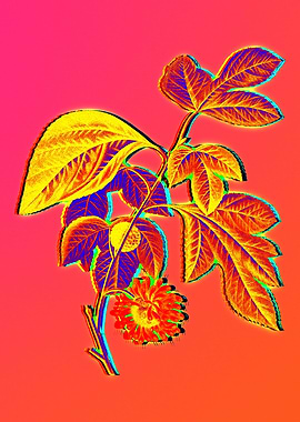 Neon Floral Illustration