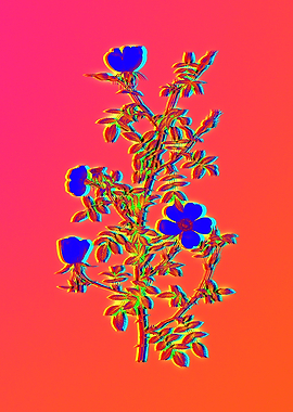 Neon Floral Illustration