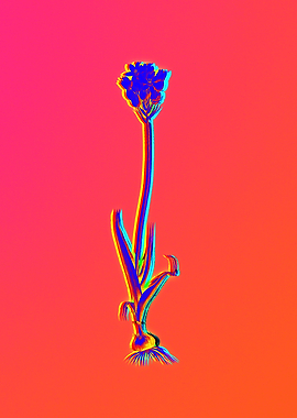 Pink Neon Flower Drawing