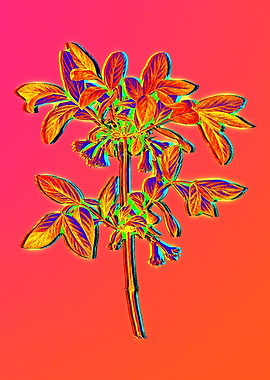 Neon Flower Illustration