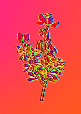 Blue Flowers Yellow Flower