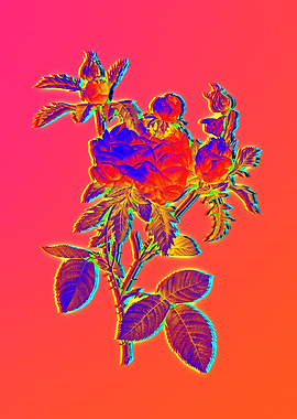 Neon Flora Illustration