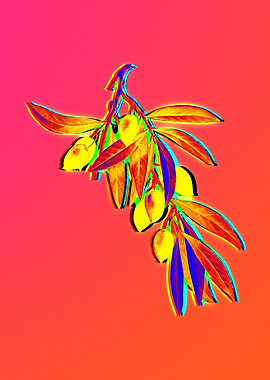 Neon Flower Illustration