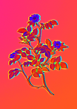 Neon Florals Illustration