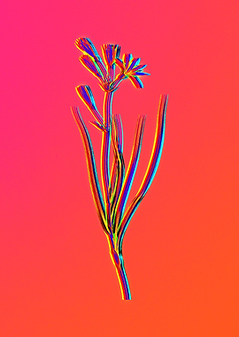 Neon Flower Illustration