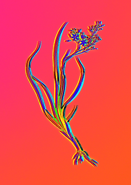 Pink Neon Rainbow Floral