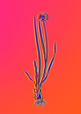 Neon Flower Illustration