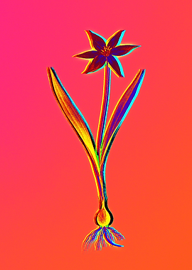 Infrared Neon Flower Pink