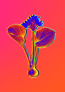 Pink Neon Flower Drawing