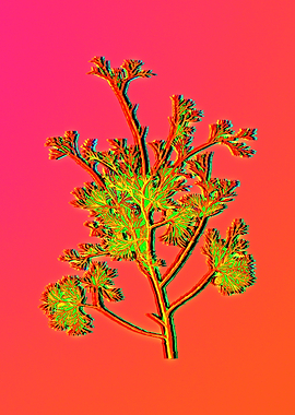 Neon Flower Illustration