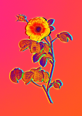 Neon Flora Illustration