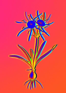 Red Botanical Illustration