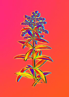 Neon Floral Illustration