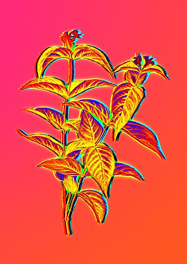 Neon Flower Illustration