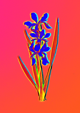 Neon Flower Illustration