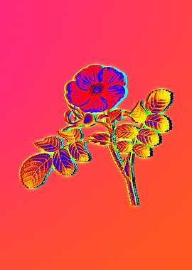 Neon Fabulous Flowers