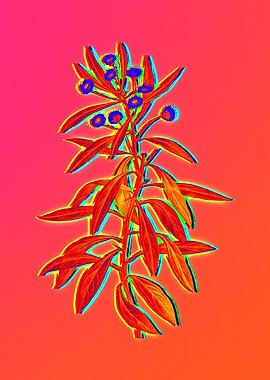 Yellow Flower Red Flower