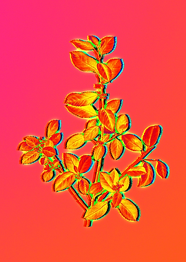 Neon Fabulous Flowers