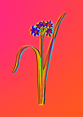 Neon Flowers Illustration