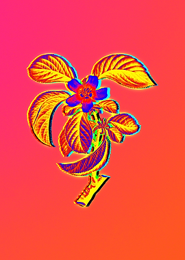 Neon Botanical Flowers