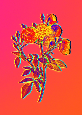 Neon Flower Illustration