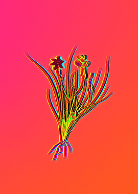 Neon Floral Illustration