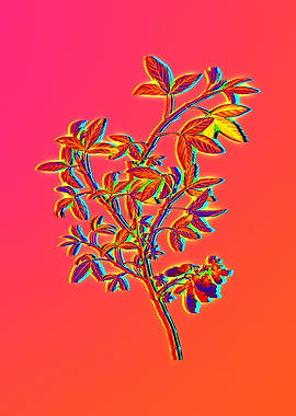 Neon Botanical Drawings