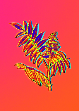 Neon Botanical Drawings