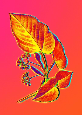 Neon Floral Illustration