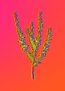 Neon Floral Illustration
