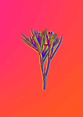Neon Flower Illustration