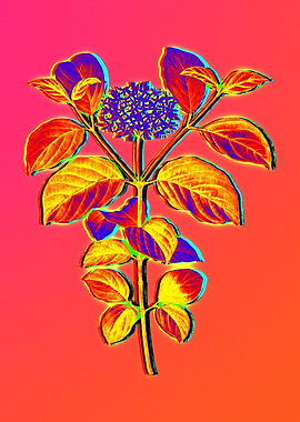Neon Botanical Flowers