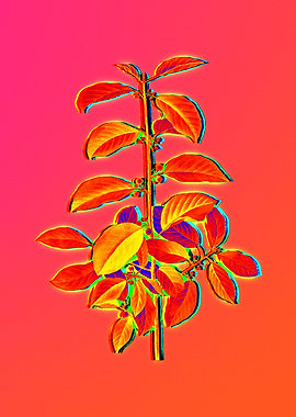 Neon Botanical Drawing