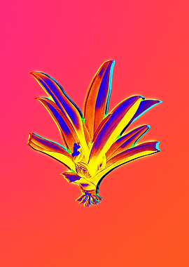 Neon Botanicals Drawing