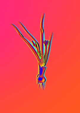 Neon Flower Illustration