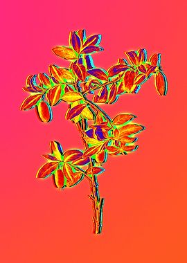 Neon Floral Illustration