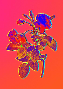 Neon Flower Illustration