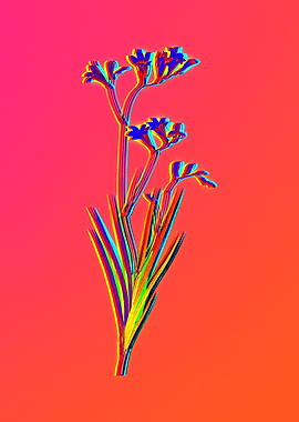 Fiery Neon Pink Botanical