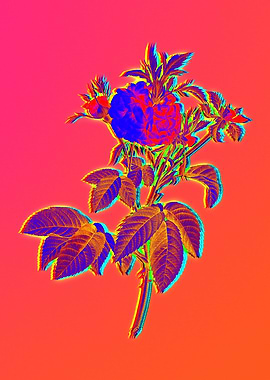 Pink Neon Rainbow Floral