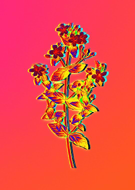 Neon Botanical Drawings