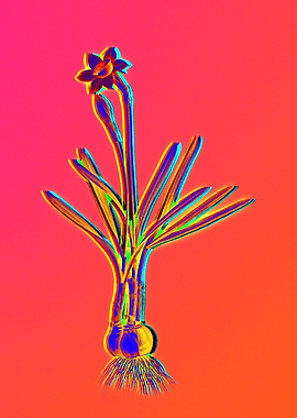 Neon Flower Illustration