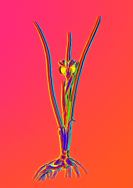 Neon Flower Illustration