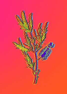 Neon Flowers Illustration