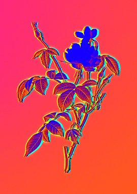Neon Electric Blue Flowers
